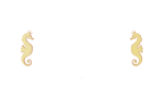 Casino Cruise